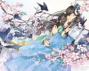 蜜芽永不失联跳转接口永久